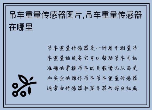 吊车重量传感器图片,吊车重量传感器在哪里 吊车重量传感器图片,吊车重量传感器在哪里